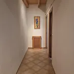 Paraiso En D *