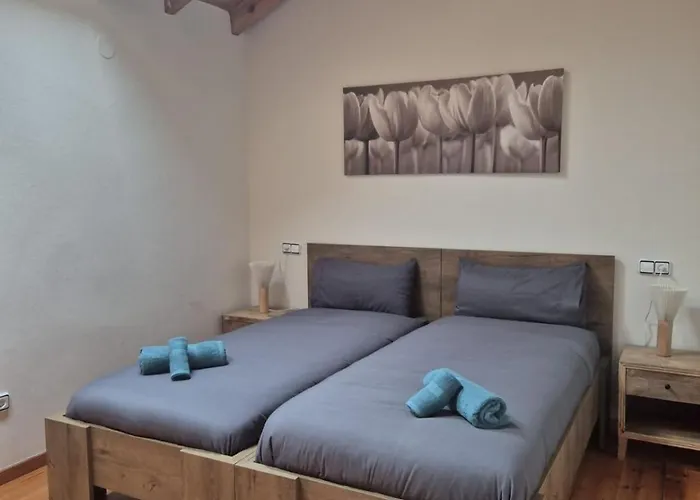 Escuelas De Collia D At-1537-as * 阿里翁达斯