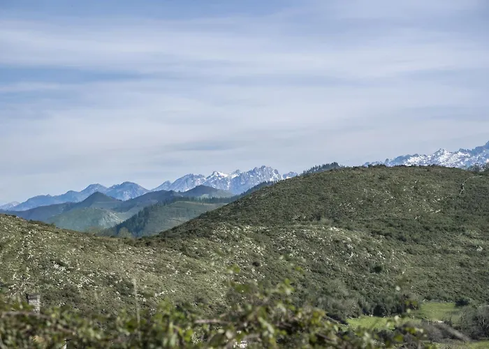 Escuelas De Collia D At-1537-as 度假居 阿里翁达斯